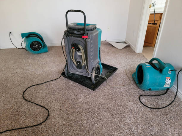 Best Mold removal after water damage  in La Habra Heights, CA