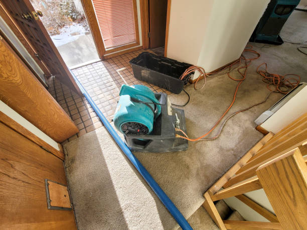 Best Water damage contractors near me  in La Habra Heights, CA