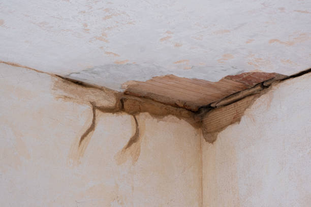 Trusted La Habra Heights, CA Water damage restoration Experts