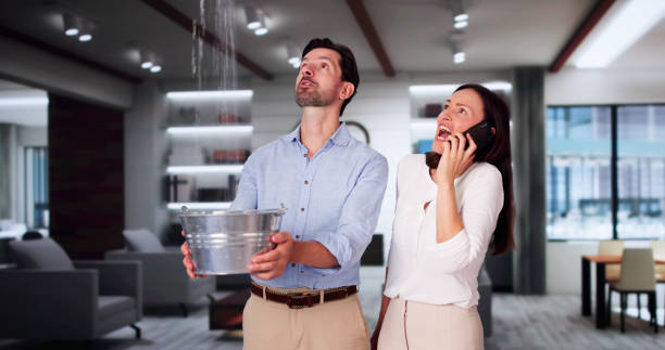 Best Local water damage restoration  in La Habra Heights, CA