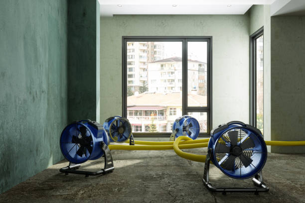 Best Fire Damage Restoration  in La Habra Heights, CA