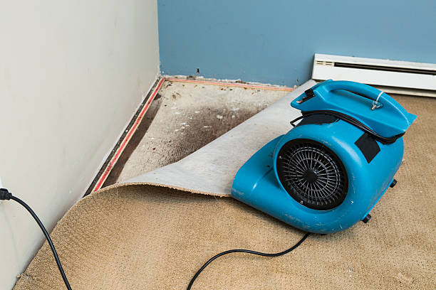  La Habra Heights, CA Water damage restoration Pros